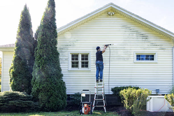 Best Driveway Pressure Washing  in Whitesboro, NJ